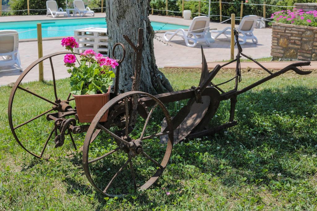 Agriturismo Il Divin Casale Torgiano Eksteriør billede